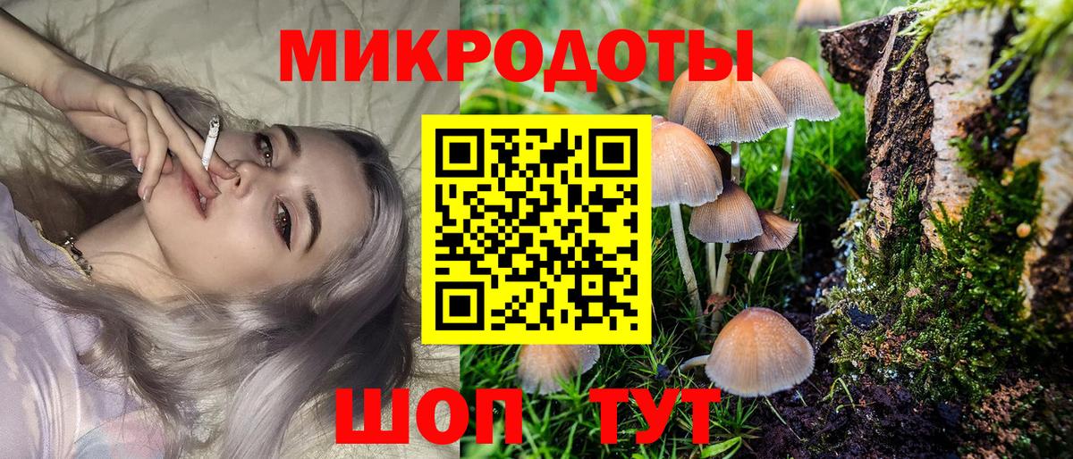 Ижевск  Галлюциногенные грибы прущие грибы  Вход с VPN 